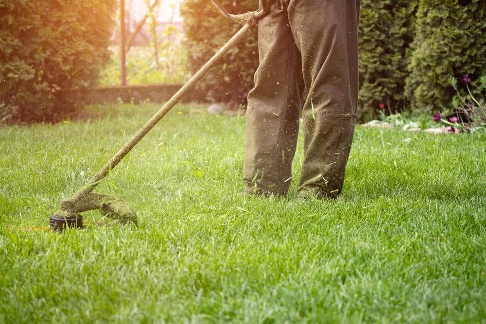 ¿Cuáles son las averías más comunes en desbrozadoras?