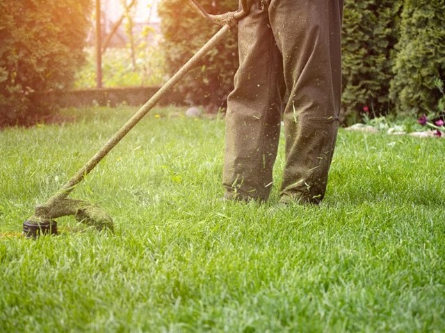 ¿Cuáles son las averías más comunes en desbrozadoras?