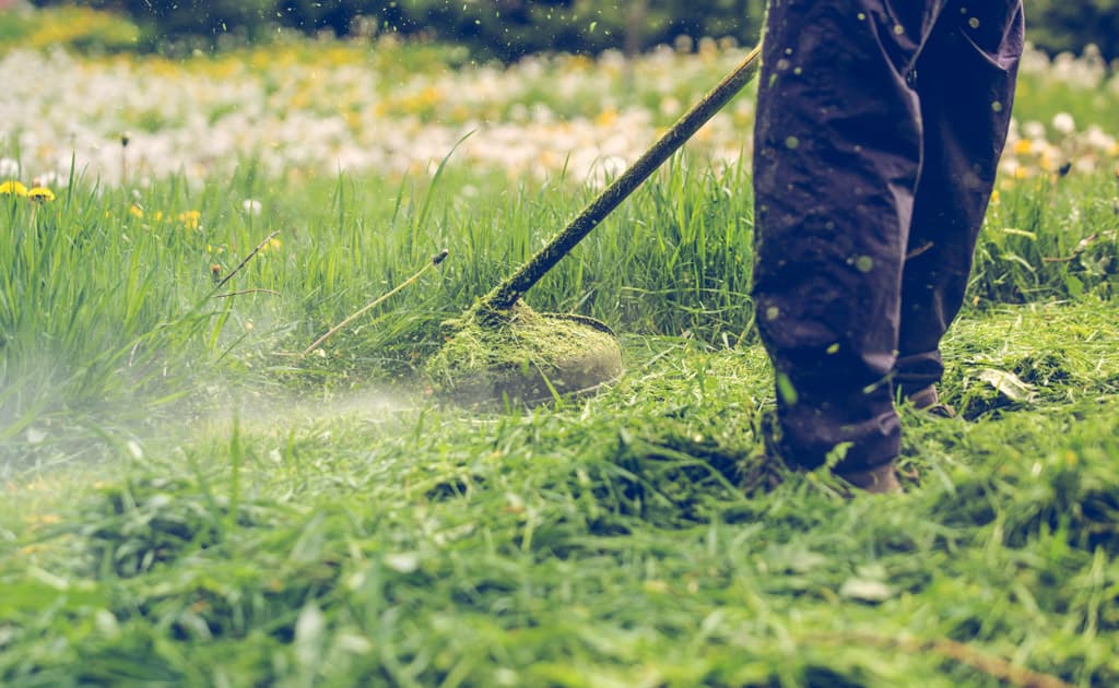 Maquinaria jardinería en Ribadumia