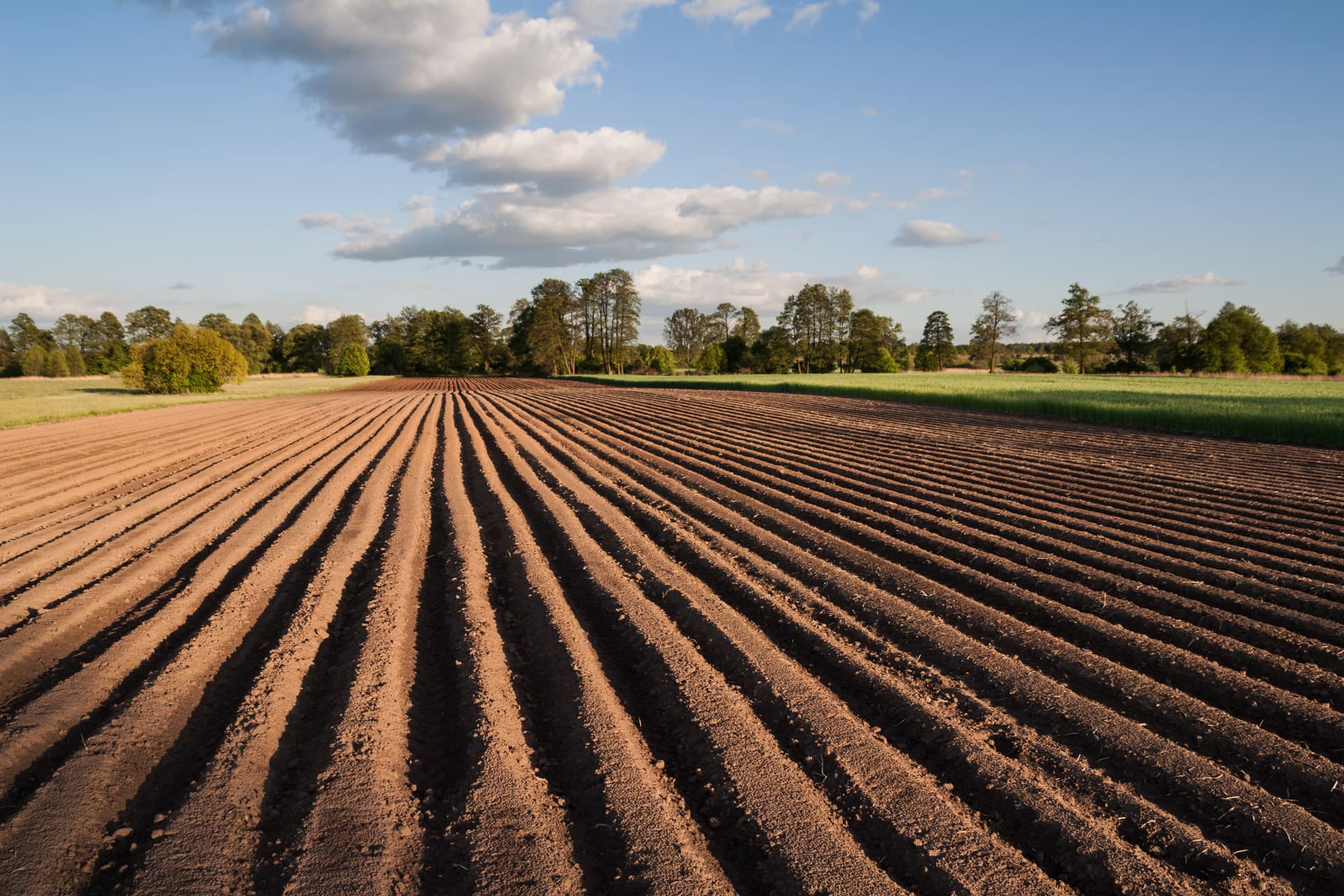 Taller de maquinaria agrícola en Ribadumia